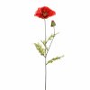 KS PAPAVER 1HLAVA + PUK 72cm