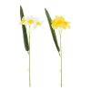 KS NARCIS x5 30CM MIX 2F