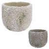 SUPER CENA OBAL CEMENT KORAL MIX FARBA 17X17XV15CM