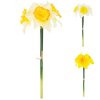 ZVAZOK NARCIS x3 39CM MIX 3F