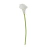 KS CALLA BIELA 34CM