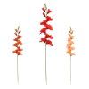 KS GLADIOLA, MIX/3F 69CM