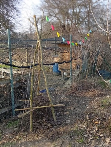 Bug snug: hmyzí týpí, které zachrání slunéčka (a možná i vaši úrodu)