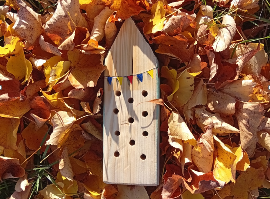 Spadané listí: podzimní poklad