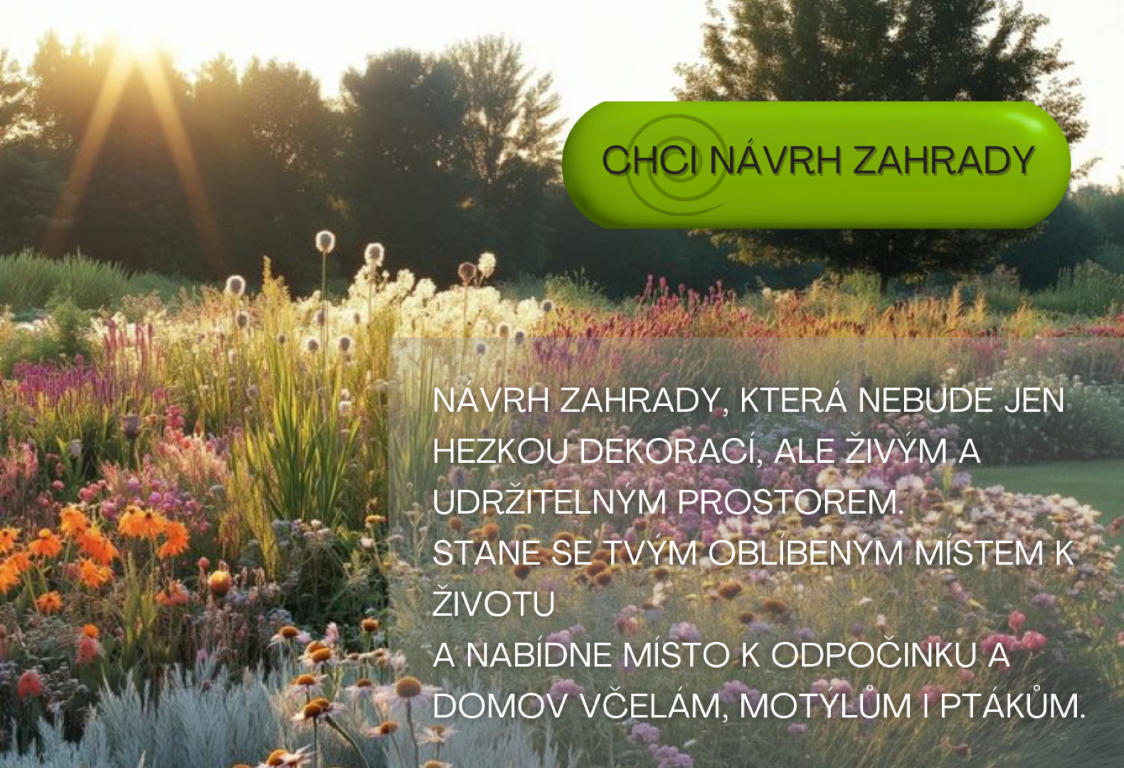 Zahradní design - kompletní návrh zahrady