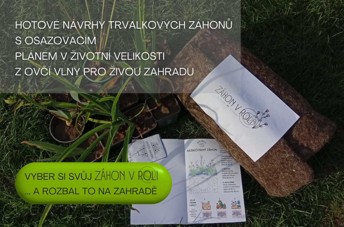 hotové návrhy trvalkových záhonů