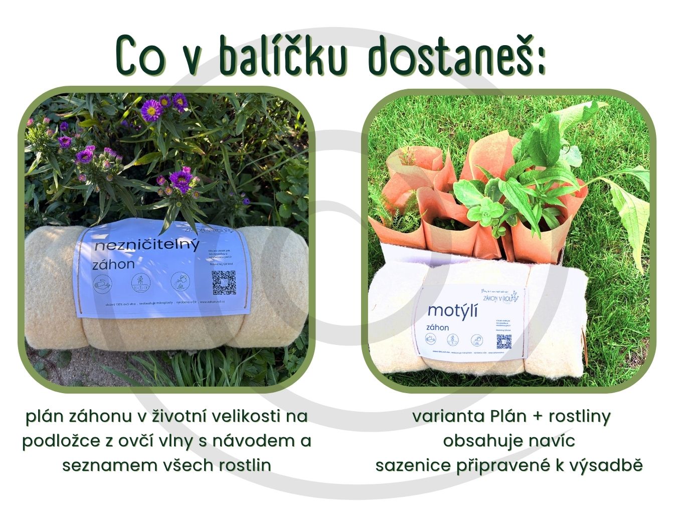 Záhon v roli je k dispozici ve dvou variantách. Sada plán a rostliny představuje kompletní řešení, kdy jen vyndáš z krabice, rozbalíš a sázíš. Varianta plán je por tebe v případě, že máš své oblíbené zahradnictví, hodnou sousedku nebo porstě nechceš nakup