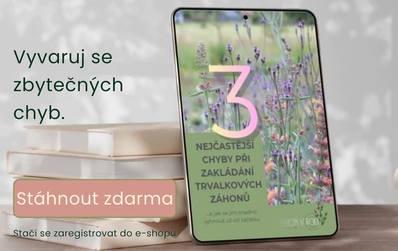 Vyvaruj se nejčastějších chyb při zakládání trvalkových záhonů a pěstuj jako profík.