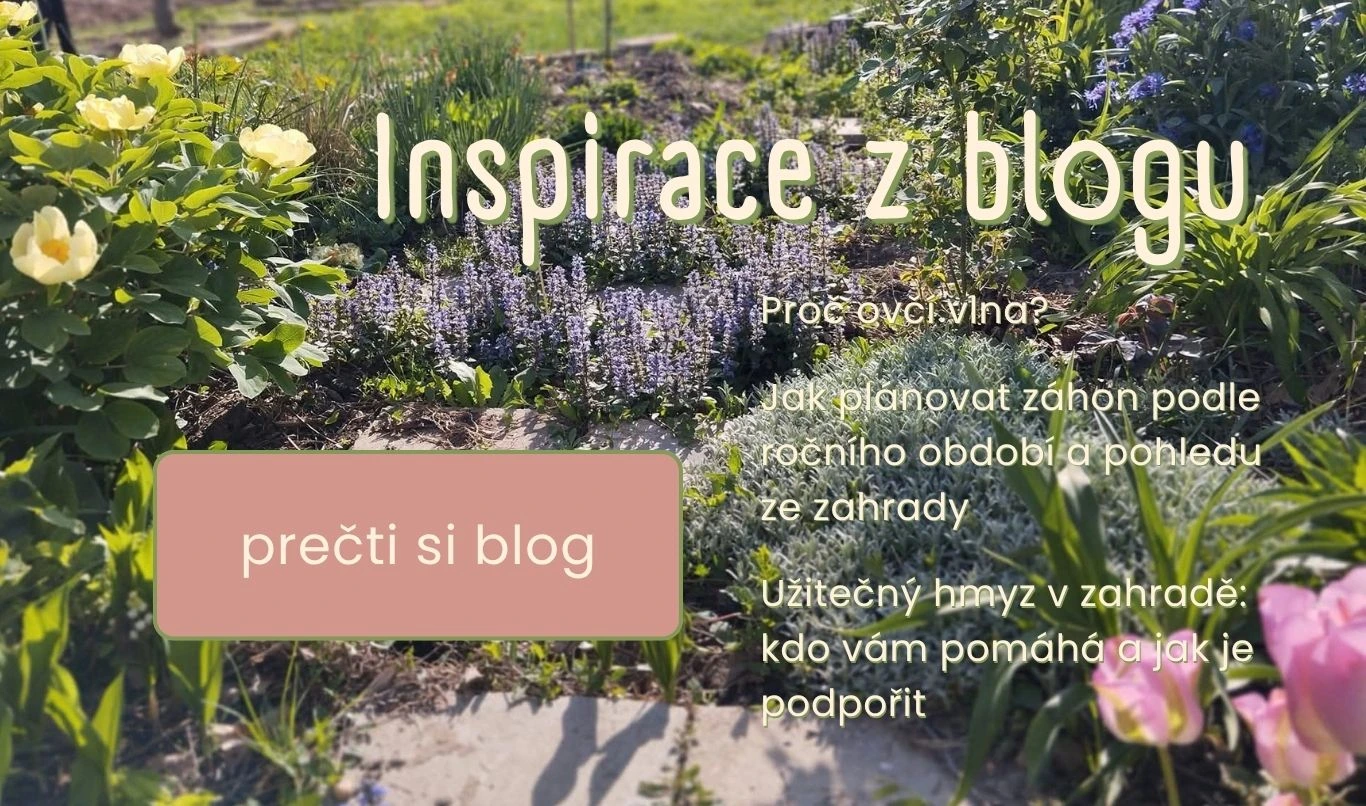 Blog se věnuje praktickým tipům pro údržbu zahrady, podporu biodiverzity a plánování výsadeb. Mezi hlavní témata patří: Sezónní péče: Jak plánovat záhon podle ročních období nebo jak využít spadané listí jako hnojivo a izolaci. Podpora přírody: Články o u