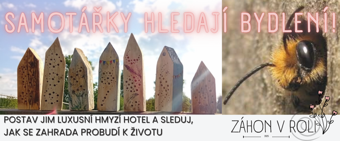 hmyzí domky pro samotářky