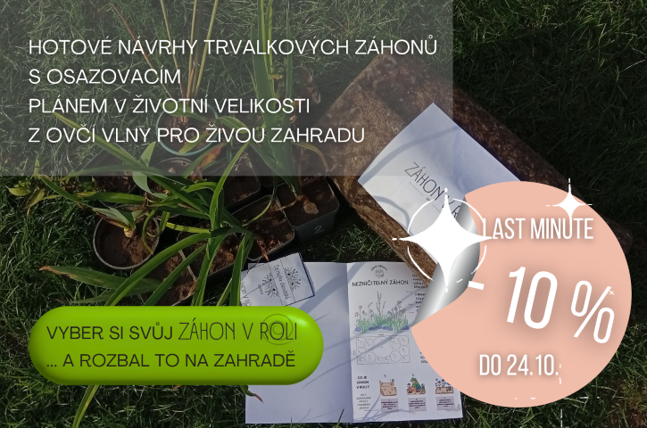 hotové návrhy trvalkových záhonů