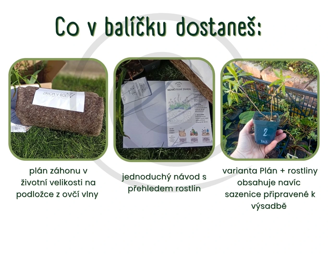 Záhon v roli je k dispozici ve dvou variantách. Sada plán a rostliny představuje kompletní řešení, kdy jen vyndáš z krabice, rozbalíš a sázíš. Varianta plán je por tebe v případě, že máš své oblíbené zahradnictví, hodnou sousedku nebo porstě nechceš nakup