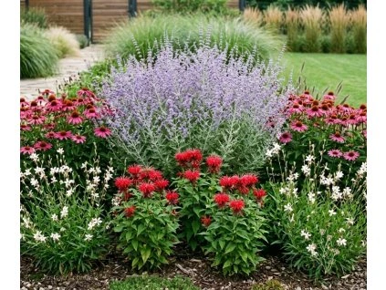 návrh záhonu - letní záhon