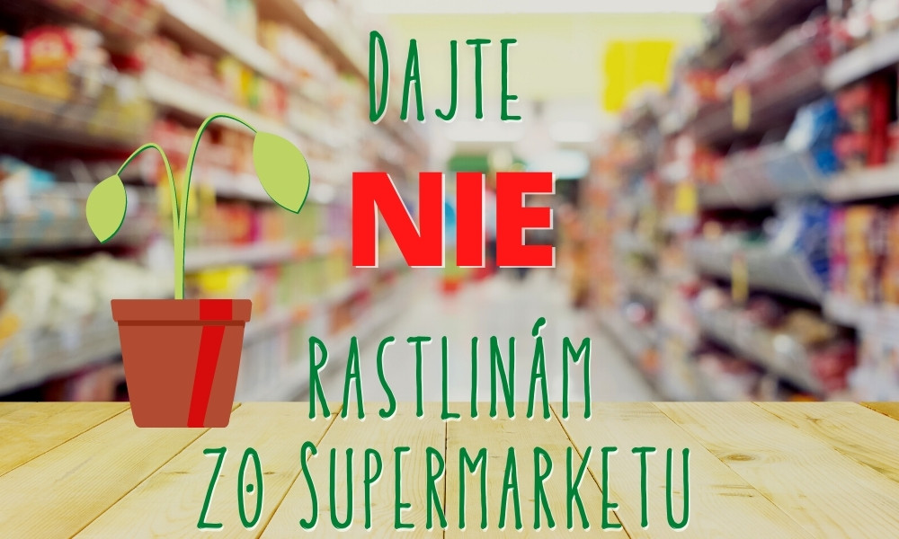 Dajte NIE rastlinám zo supermarketu
