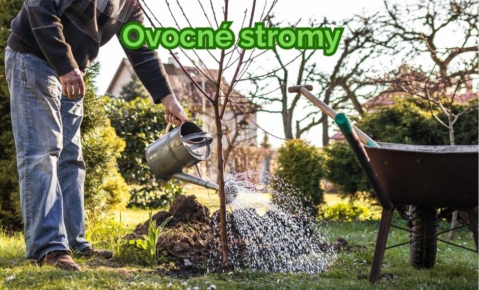 Výber ovocných stromov