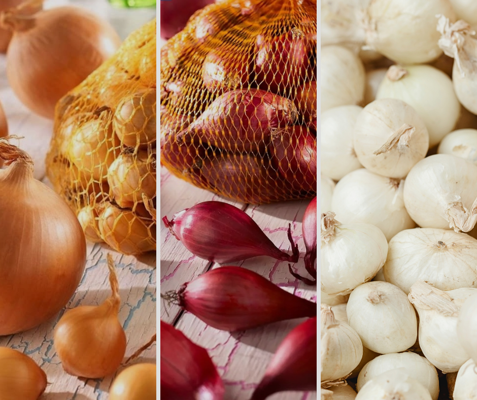 Ako správne sadiť cibuľu na jar?