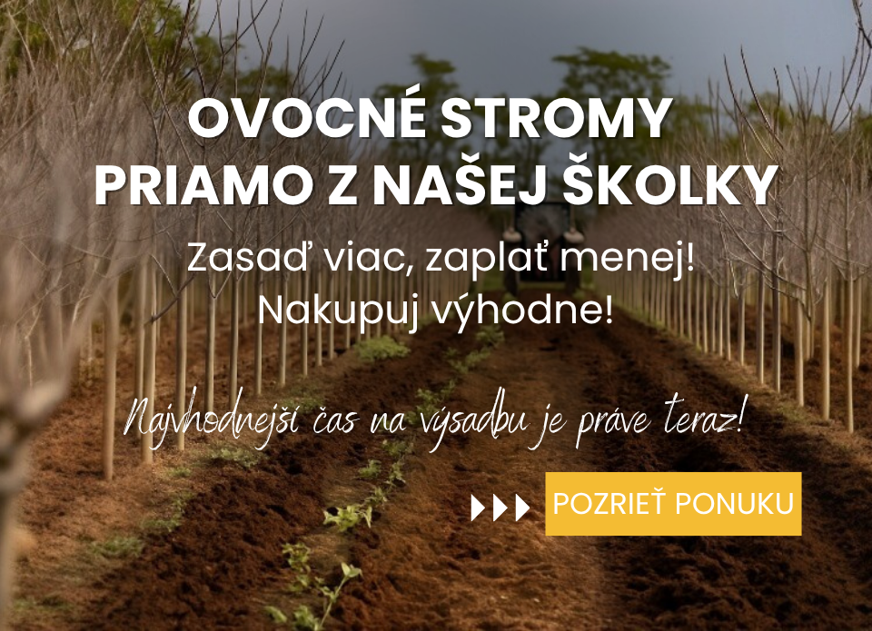 Ovocné stromy Plantex objednávka jeseň 2025
