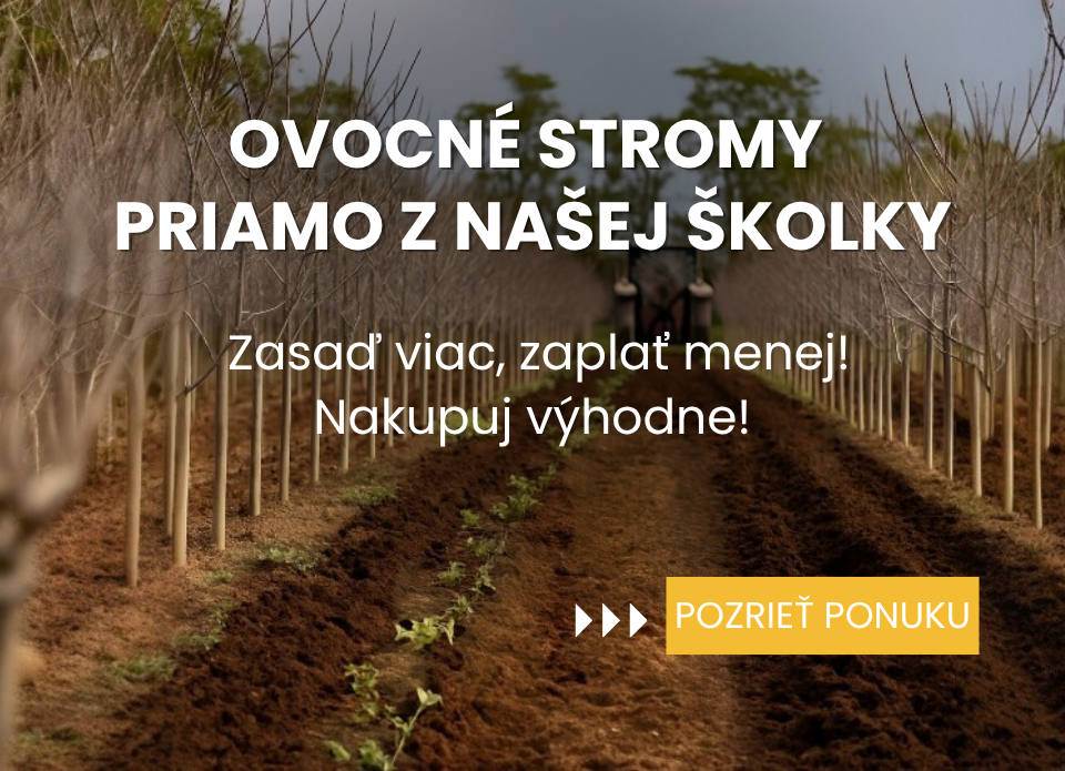 Ovocné stromy Plantex objednávka jeseň 2025