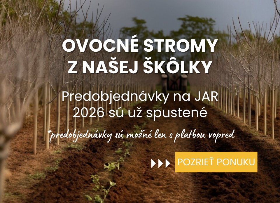 Predobjednvka Ovocné stromy Plantex objednávka jar 2026