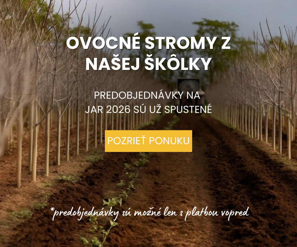 Predobjednvka Ovocné stromy Plantex objednávka jar 2026