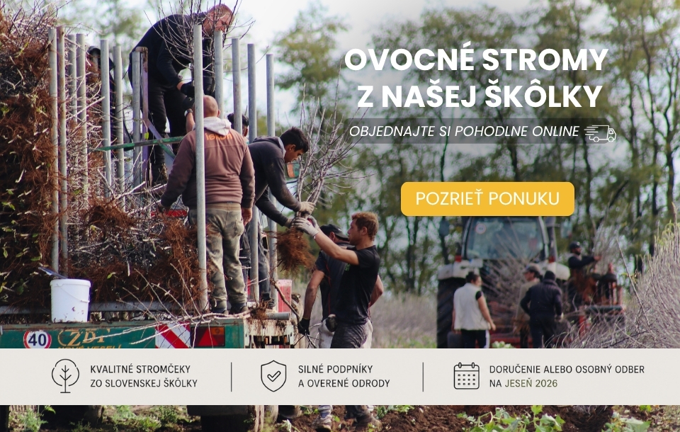 Ovocné stromy - predobjednávka jeseň 2026