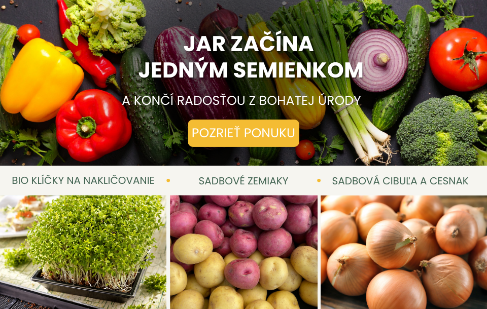 Semená, cibuľa, ssadbové zemiaky