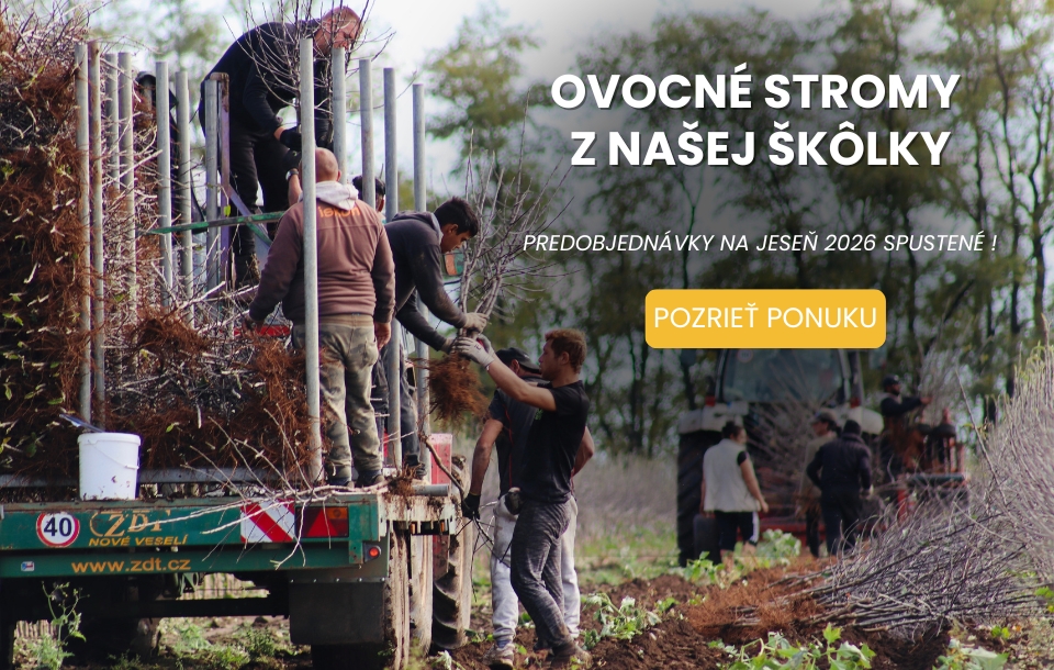 Ovocné stromy - predobjednávka jeseň 2026