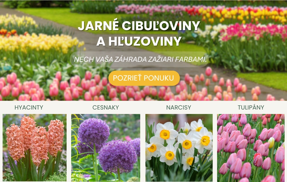 Jarné cibuloviny a hľuzoviny 2026