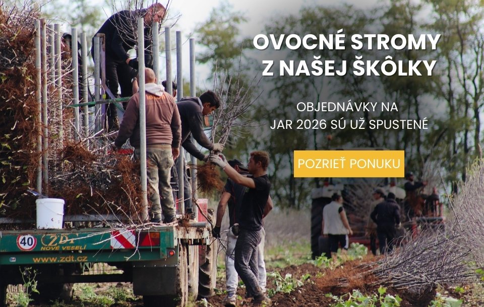 Ovocné stromy Plantex Vesele jar 2026