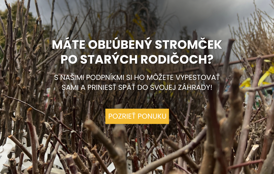 Podpníky pre ovocné stromy