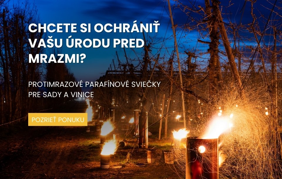 Protimrazové parafínové sviečky pre sady a vinice