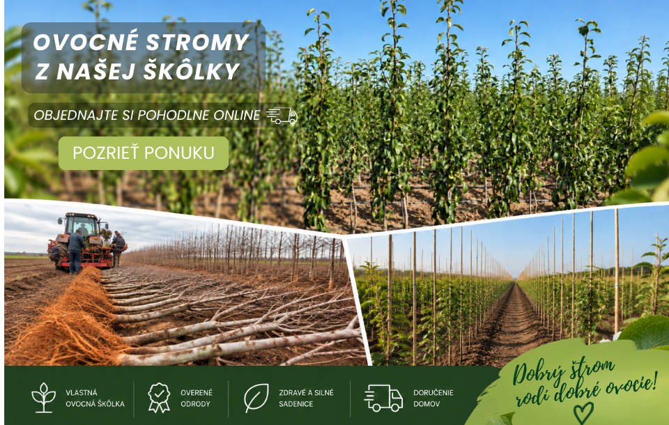 Ovocné stromy - predobjednávka jeseň 2026