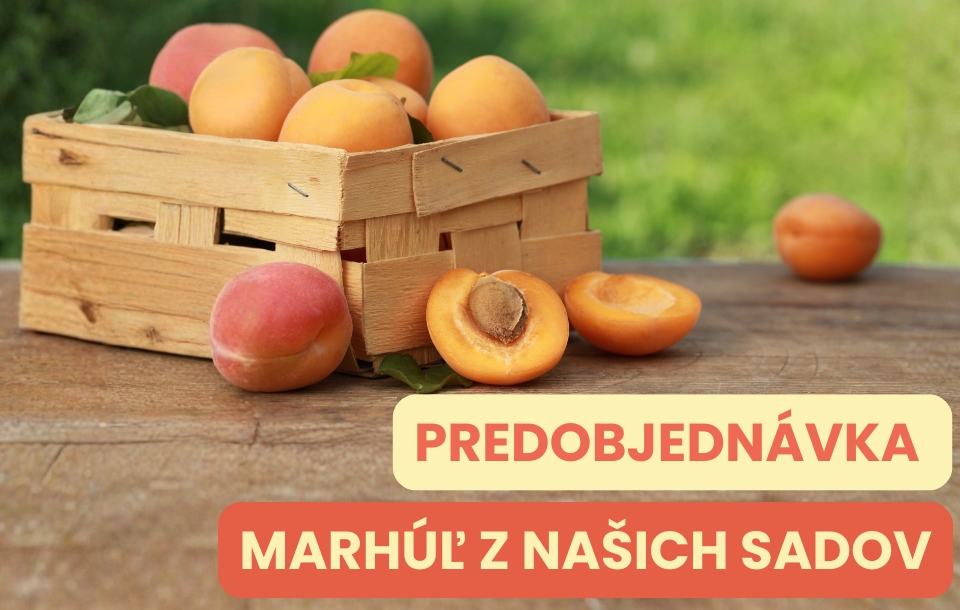 marhule z našich sadov