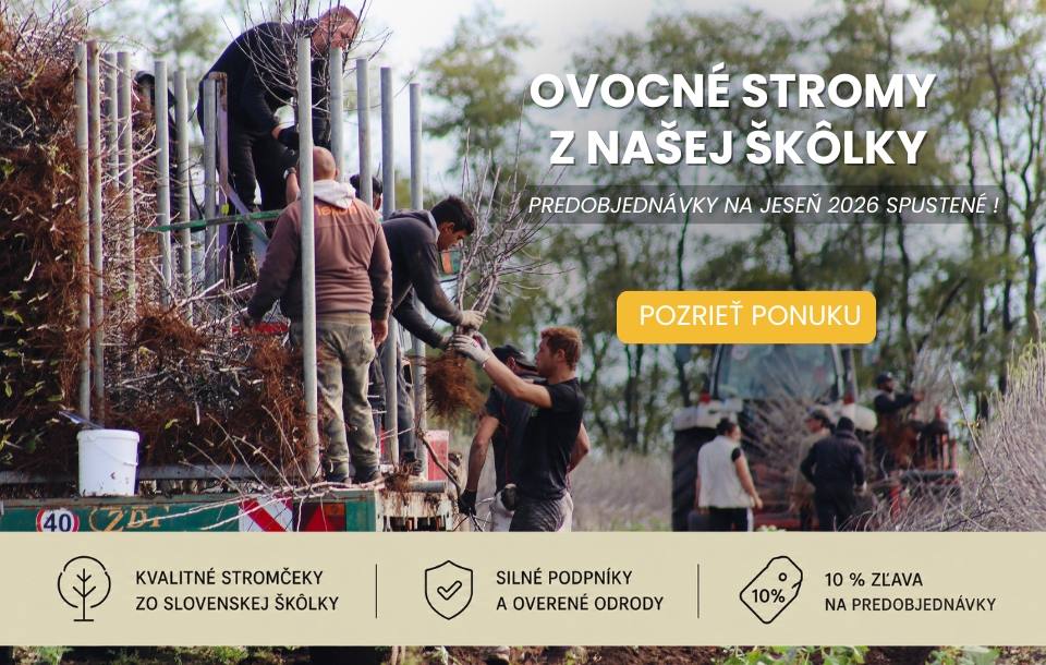 Ovocné stromy - predobjednávka jeseň 2026