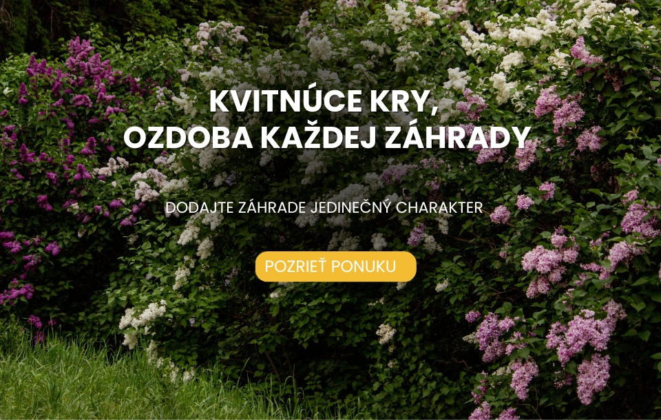 Kvitnúce kry