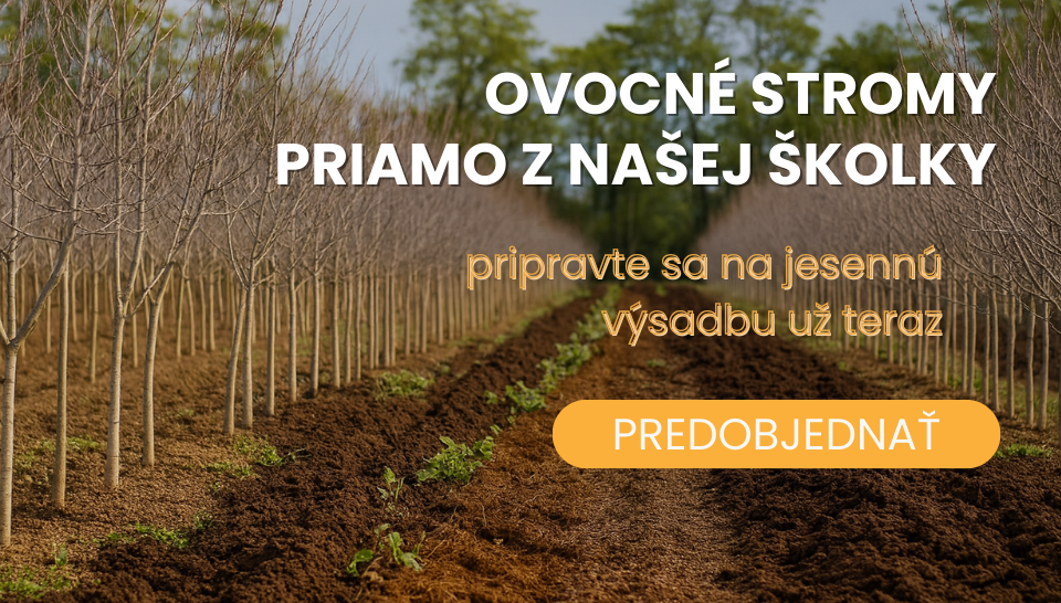 Ovocné stromy Plantex objednávka jeseň 2025
