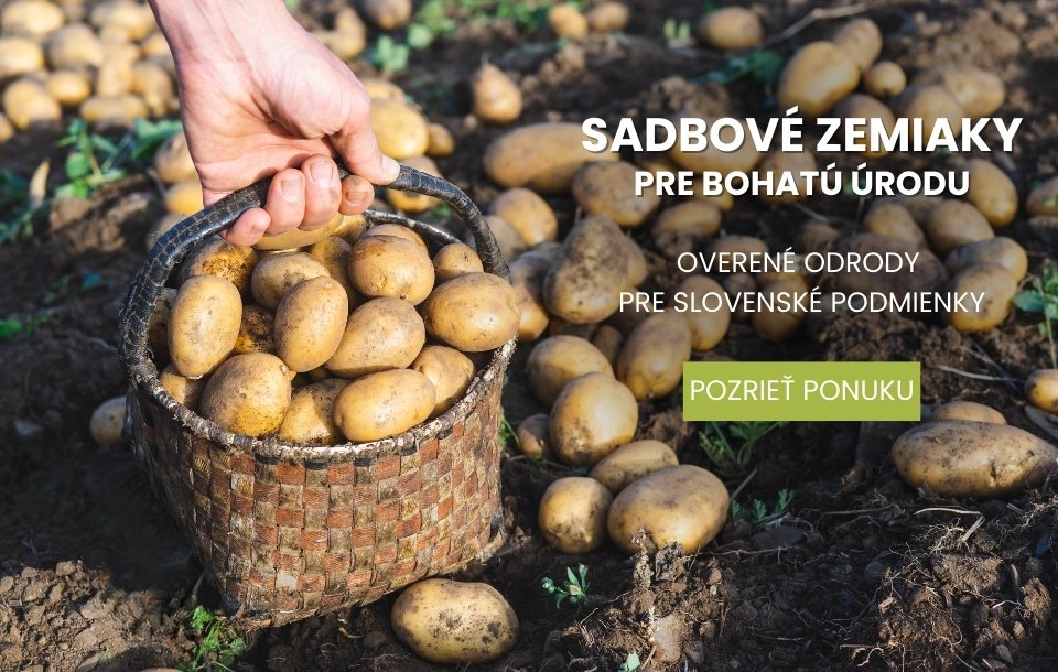 sadbové zemiaky jar 2026 Plantex Vesele