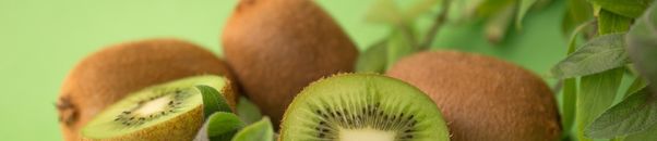 Kiwi Drobné Bobuľové ovocie Plantex Veselé