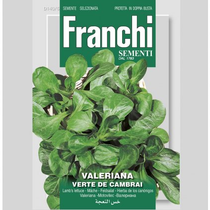 FRANCHI - VALERIANKA - VERTE DE CAMBRAI (5 g)