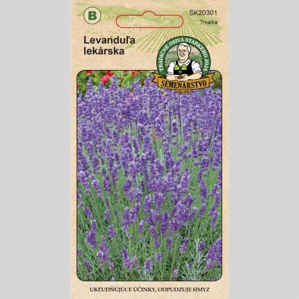 Levandula lekarska 1