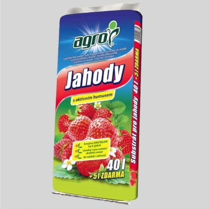 na jahody (1)