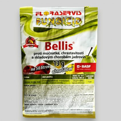 Bellis 13g 712x1024 PhotoRoom (1)