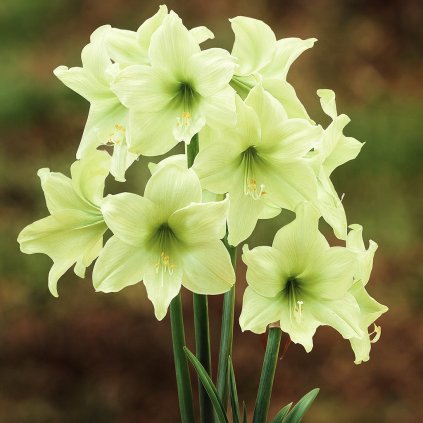 Image 24. 9. 2025, 12 16 02