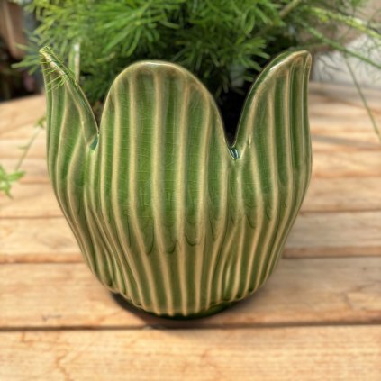 1b60e45a 1b0b 4f9d b11f 426be141e58f Photoroom