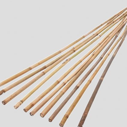 Bambusova tyc