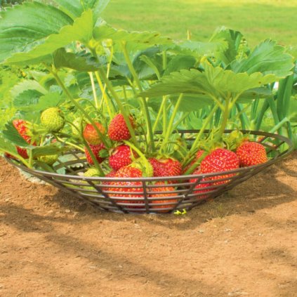 image Photoroom 2024 07 19T164915.642