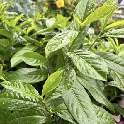 a7fe5d78 1669 4a6a aa8e e442eb2a192b (1)