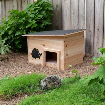 5035da461859d453f64bfc83b0cfce8c Photoroom Photoroom