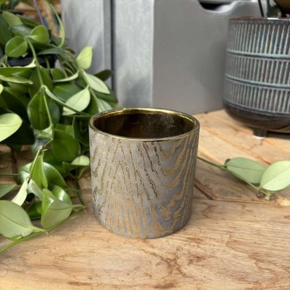 image Photoroom 2025 02 06T141815.182