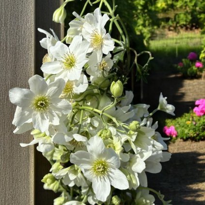 image Photoroom 2025 04 30T093714.205